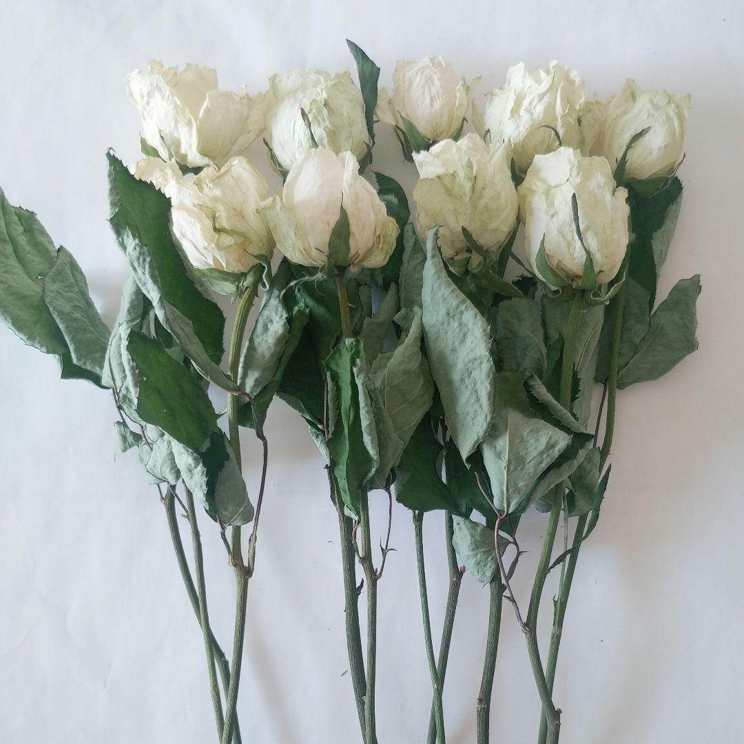 ドライフラワー様