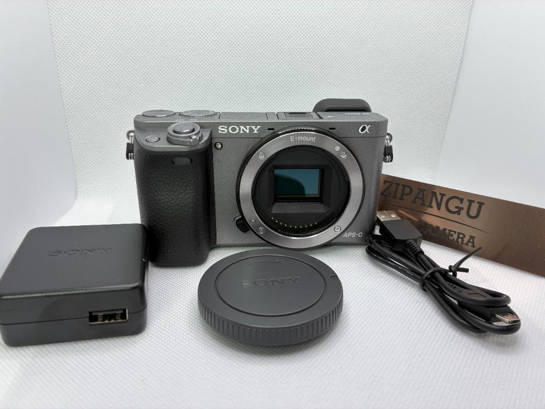 英語他多言語対応OK SONY α6000 silver ILCE-6000