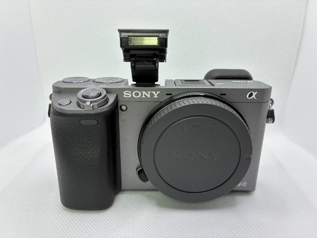 英語他多言語対応OK SONY α6000 silver ILCE-6000