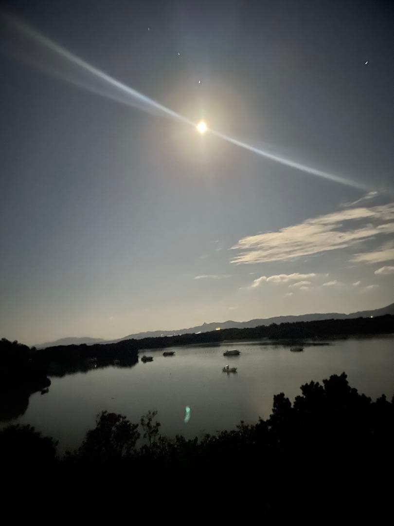 アカシア　Acacia ソウシジュ　相思樹　根皮100% 100g