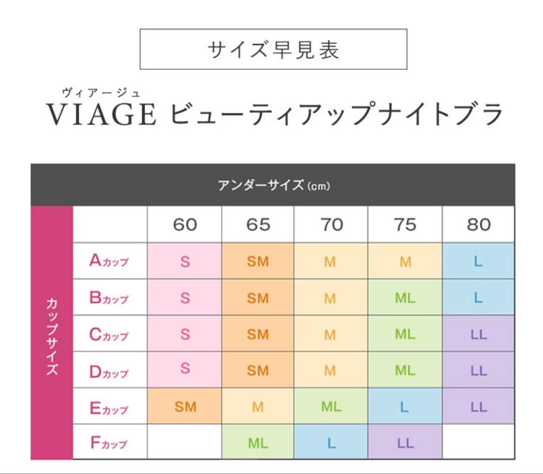 VIAGE ビューティアップナイトブラ 4点セット