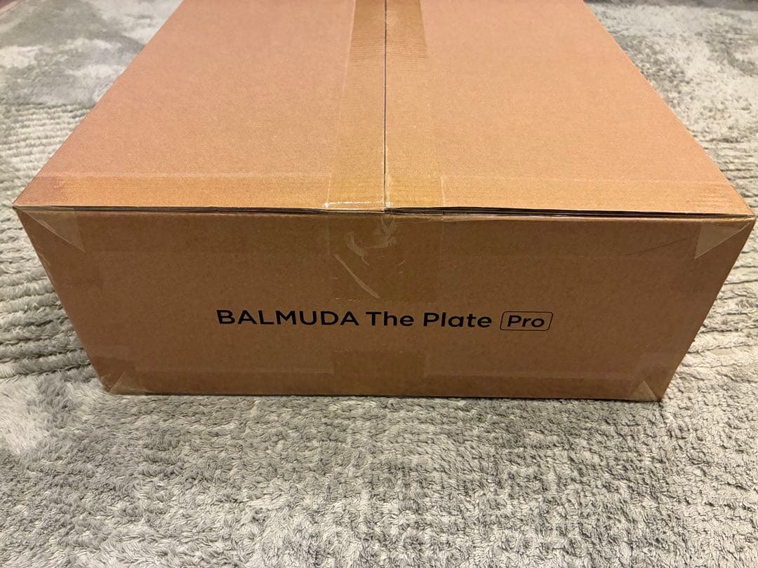 【未使用】バルミューダ ザ・プレート BALMUDA The Plate Pro