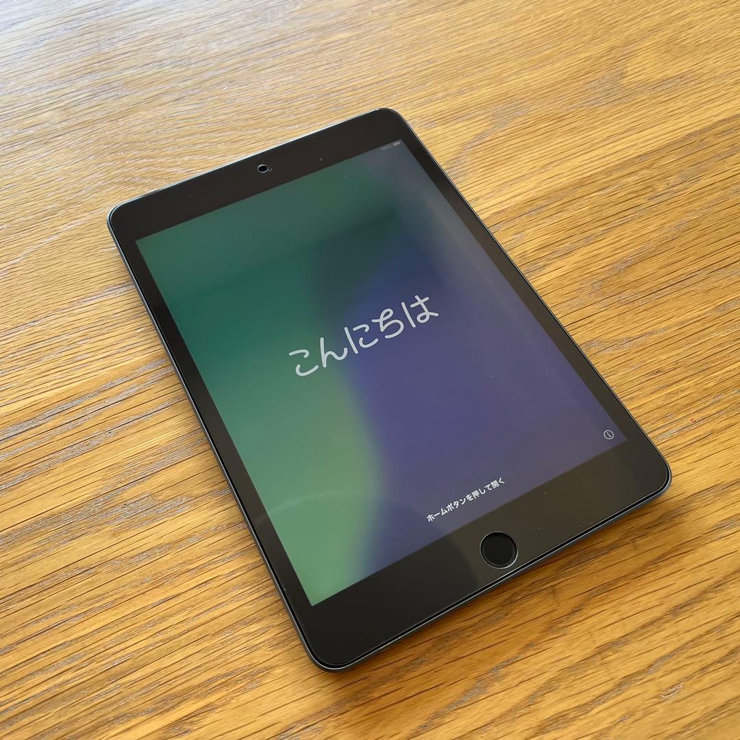 iPad mini 第5世代 256GB スペースグレー　フルセット