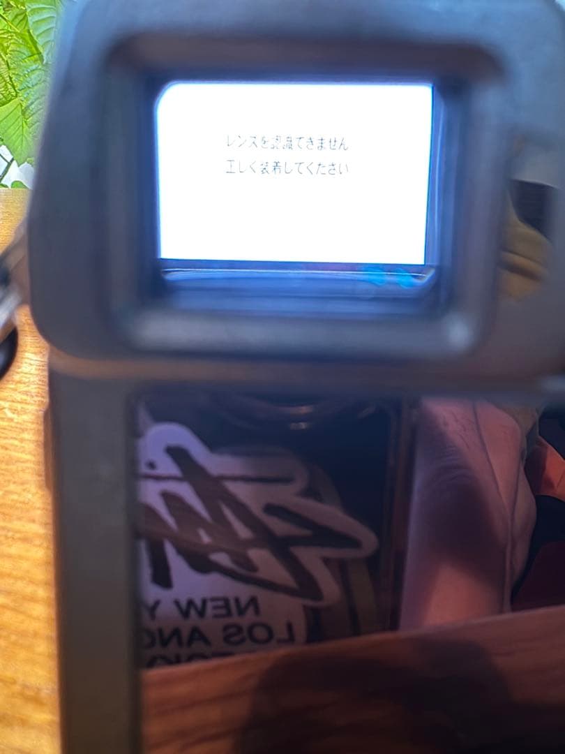 nex-6 ダブルズームGARIZカバーストラップ