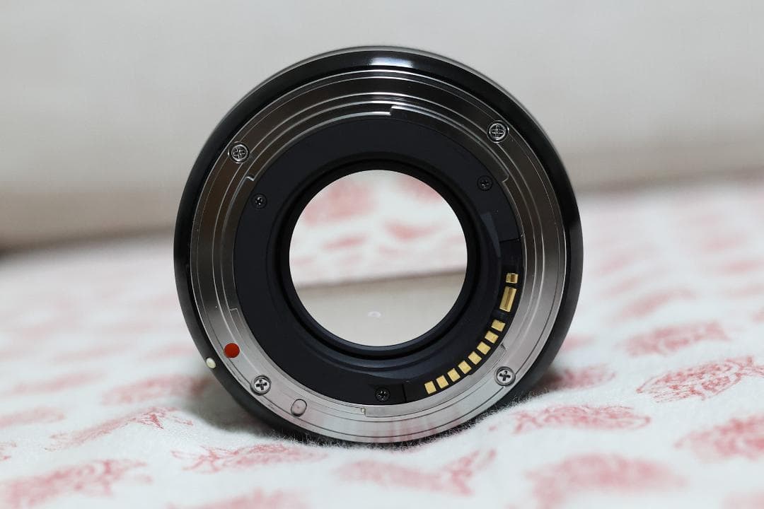 【点検済】SIGMA 30mm f1.4 DC HSM Art canon EF