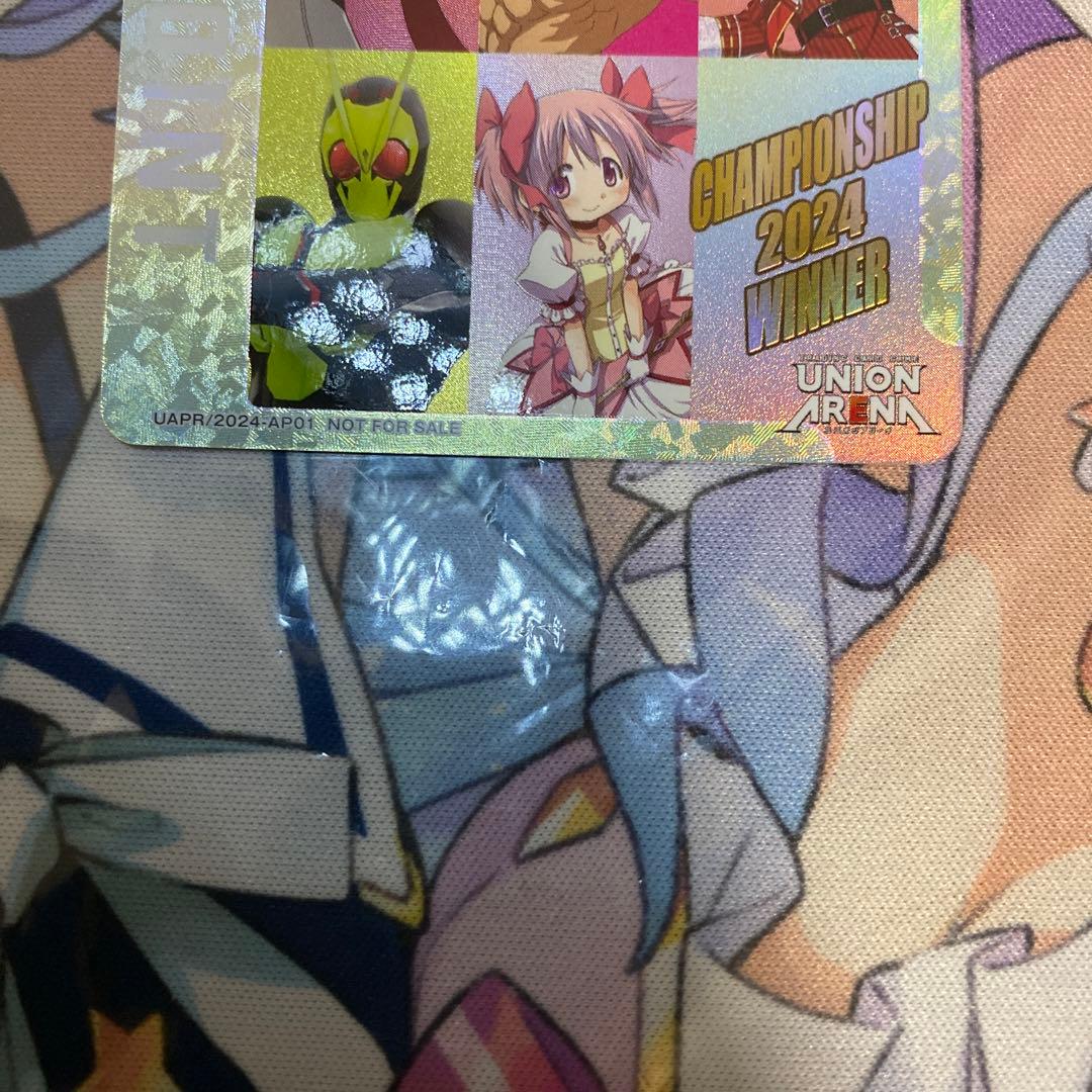 【地区大会16位以内】CHAMPIONSHIP 2024 WINNER【AP】