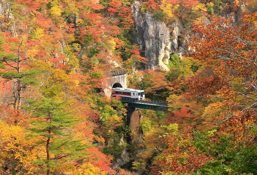 タムロンレンズ18－270ミリＦ3.5－6.3Ｄiなど10点(作例有り）