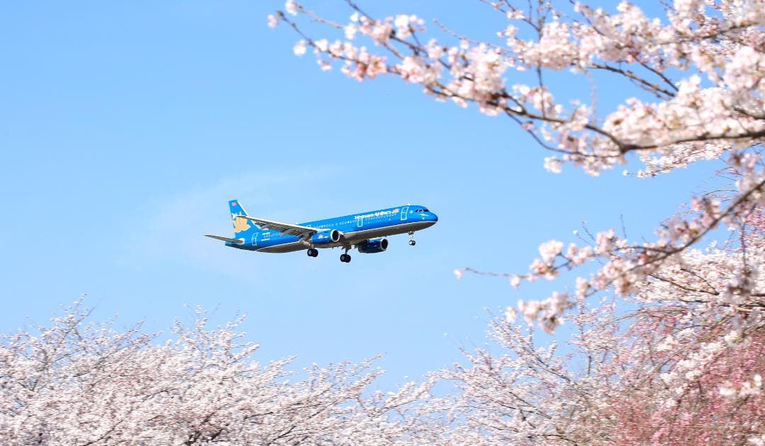 タムロンレンズ18－270ミリＦ3.5－6.3Ｄiなど10点(作例有り）