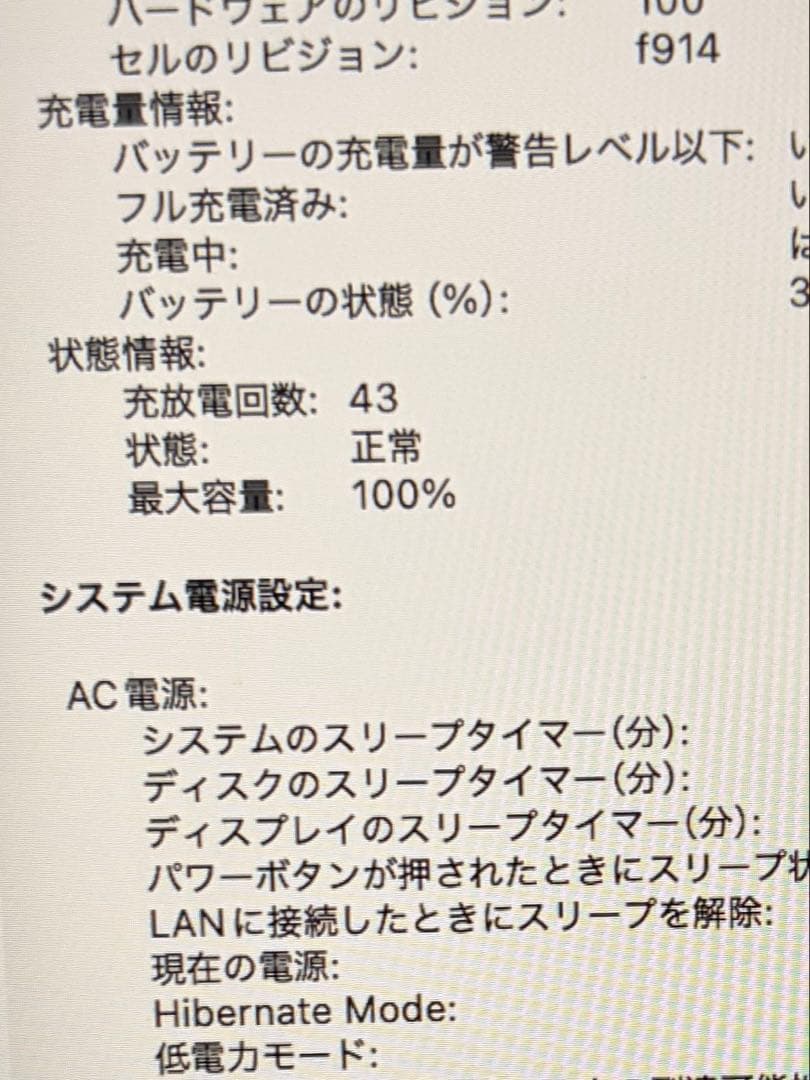 【美品/BT100%】MacBook Air M3 8GB 256GB 付属完備