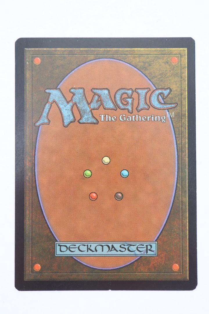 ◆セラの聖域 MagicTheGathering 日本語版　09484