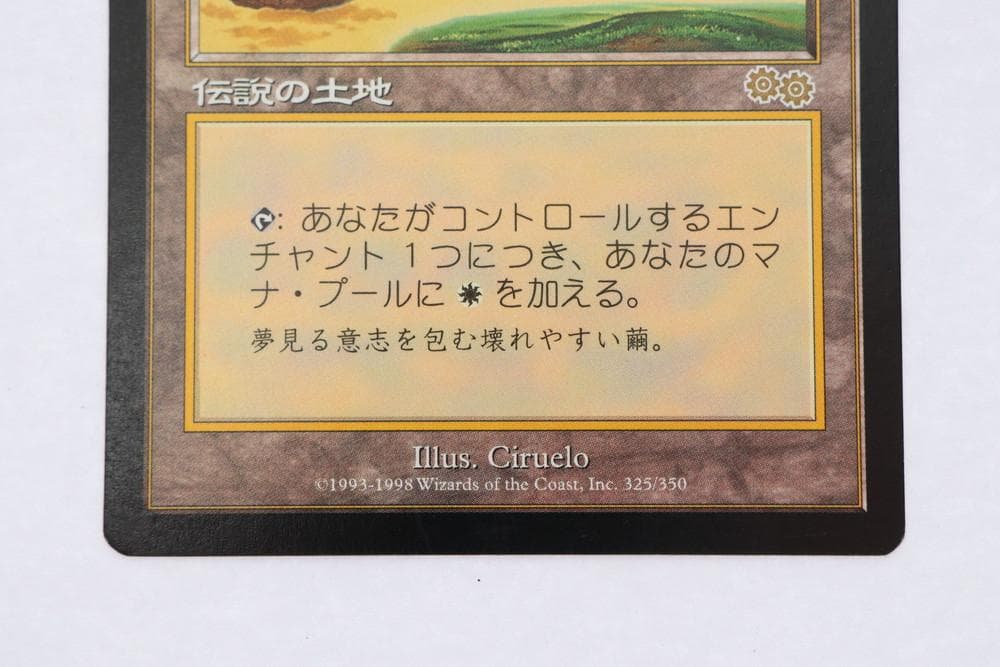 ◆セラの聖域 MagicTheGathering 日本語版　09484