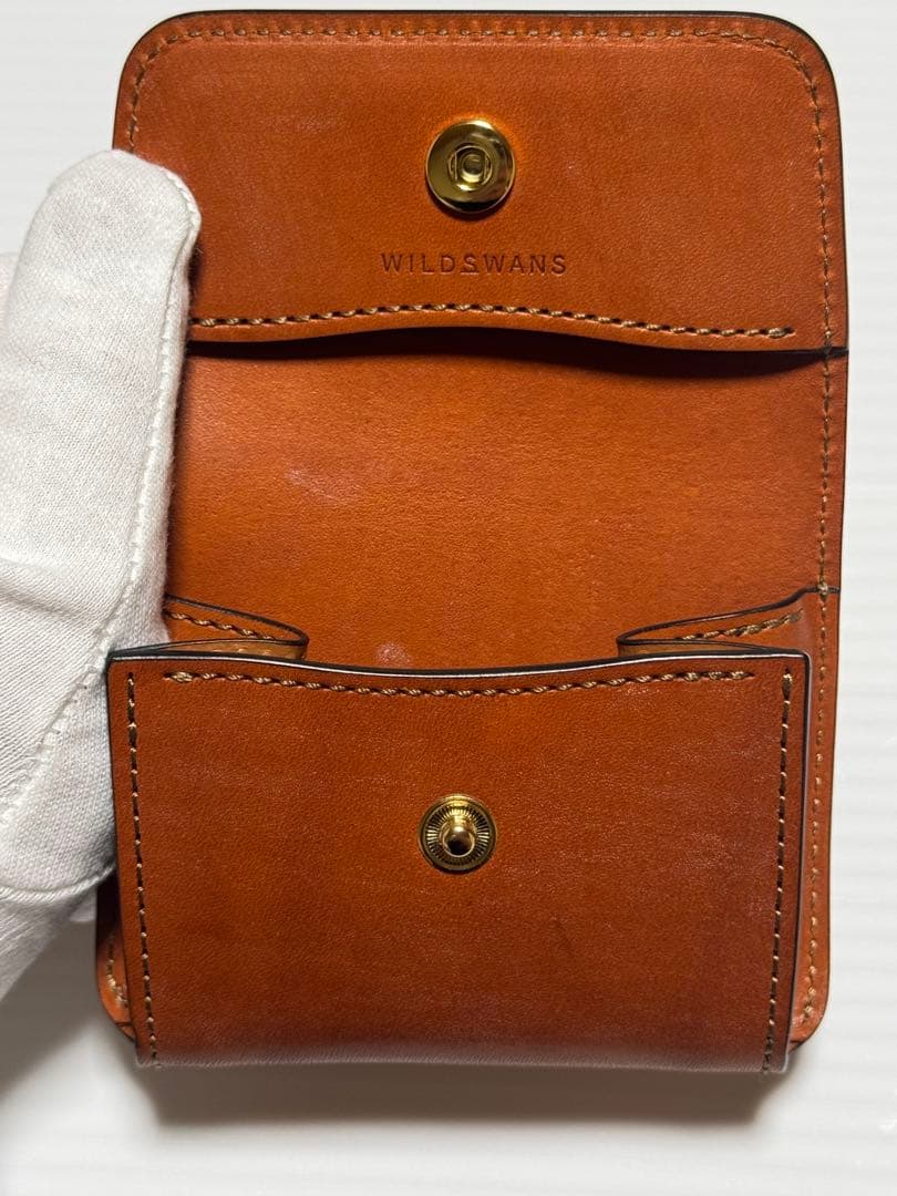 限定カラー　ワイルドスワンズ　アーサー　ニューマーケット