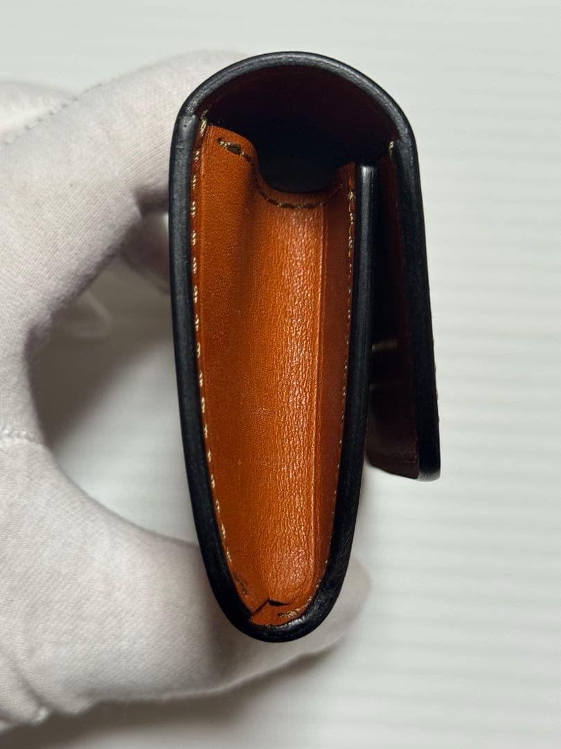 限定カラー　ワイルドスワンズ　アーサー　ニューマーケット