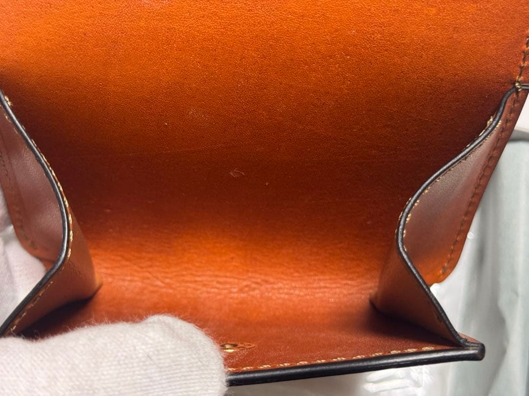 限定カラー　ワイルドスワンズ　アーサー　ニューマーケット