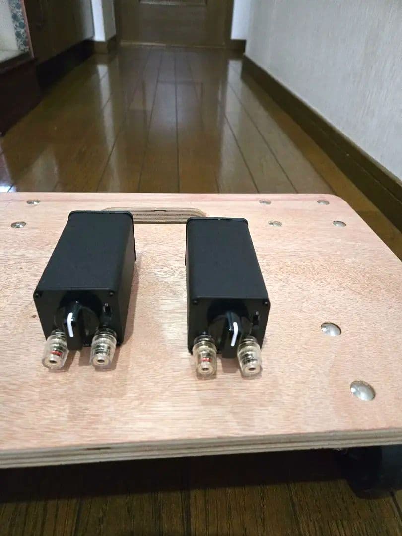 スーパーツイ－ター(リボンツイ－ターペア)