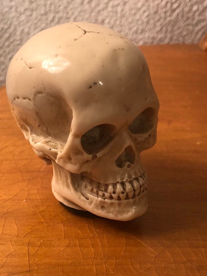 ビンテージ　スカル　髑髏　骸骨　ネイバーフッド　ミッドセンチュリー レトロ