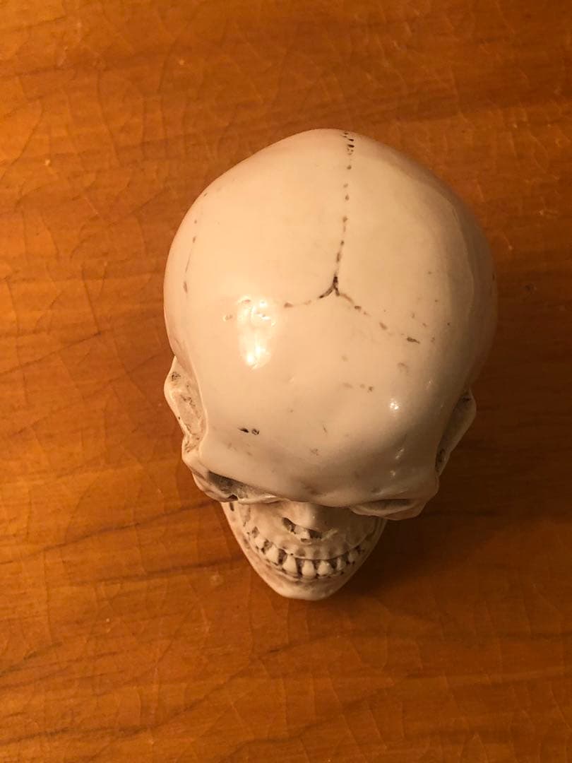 ビンテージ　スカル　髑髏　骸骨　ネイバーフッド　ミッドセンチュリー レトロ