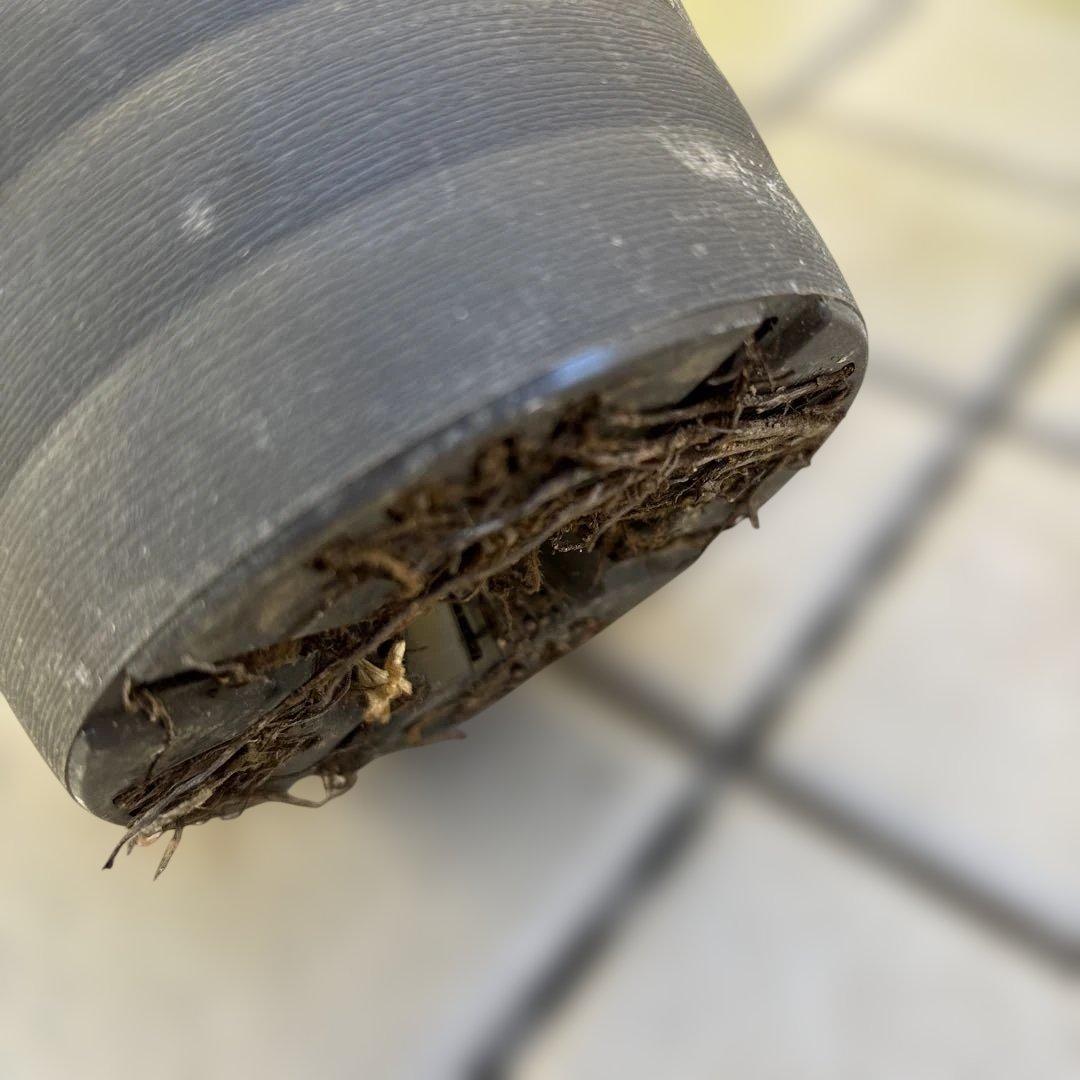 広瀬園芸　クリスマスローズ　開花株　匿名発送 ピンクオーレアセミダブル　小輪