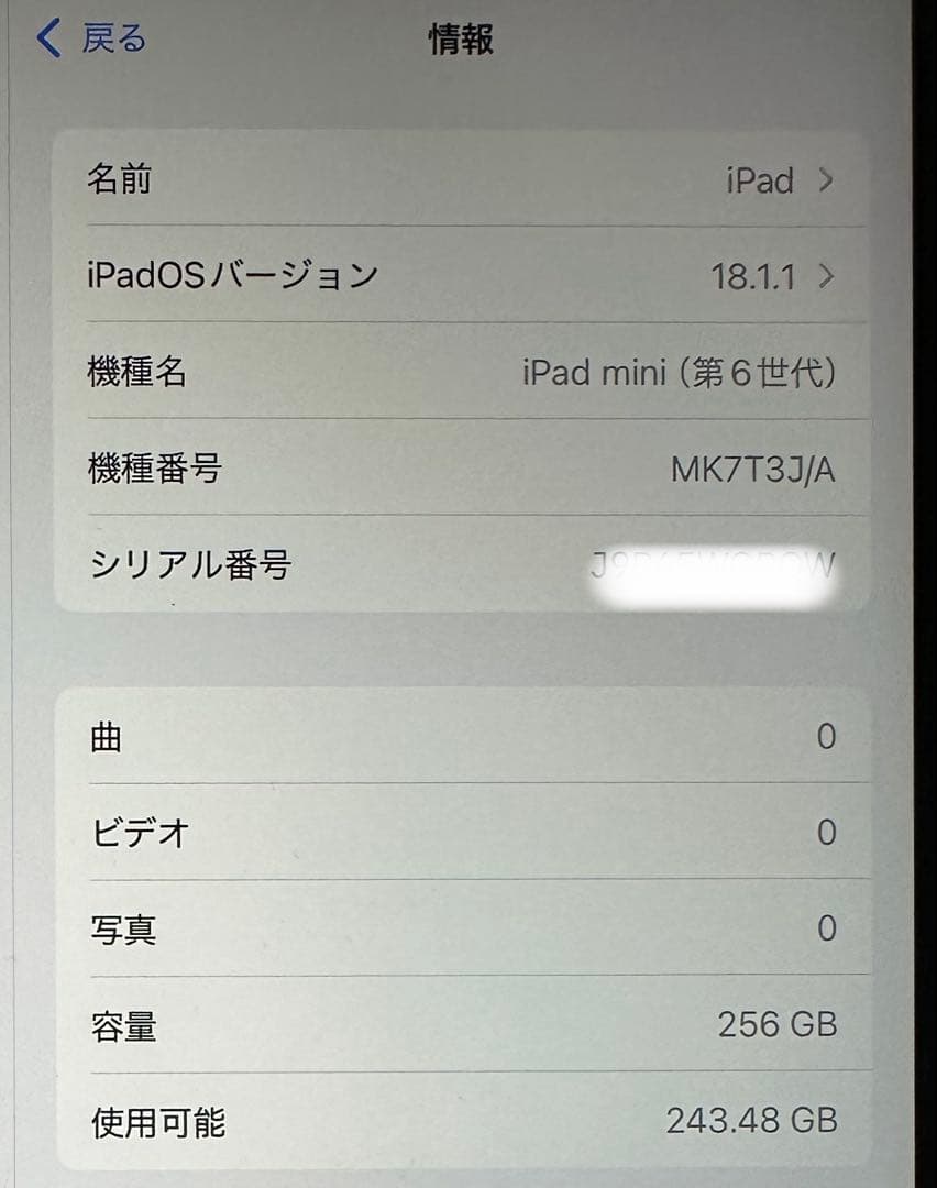 【美品！】iPad mini (第6世代) 256GB Wi-Fi おまけ付き！