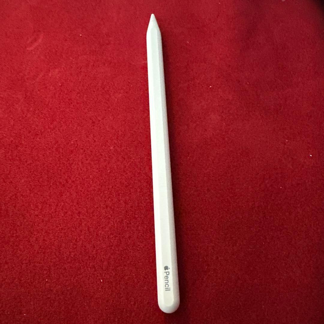 【美品！】iPad mini (第6世代) 256GB Wi-Fi おまけ付き！