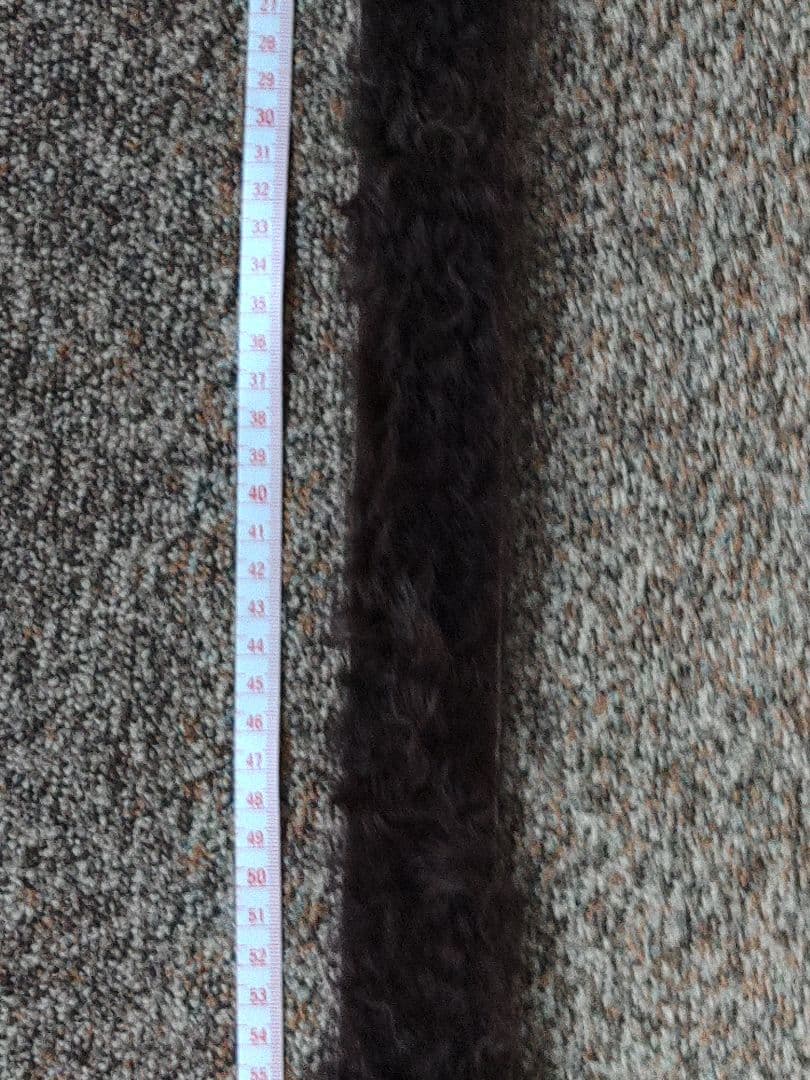 ドン小西　ヨシユキコニシ　レザーファーベルト新品　定価65100円