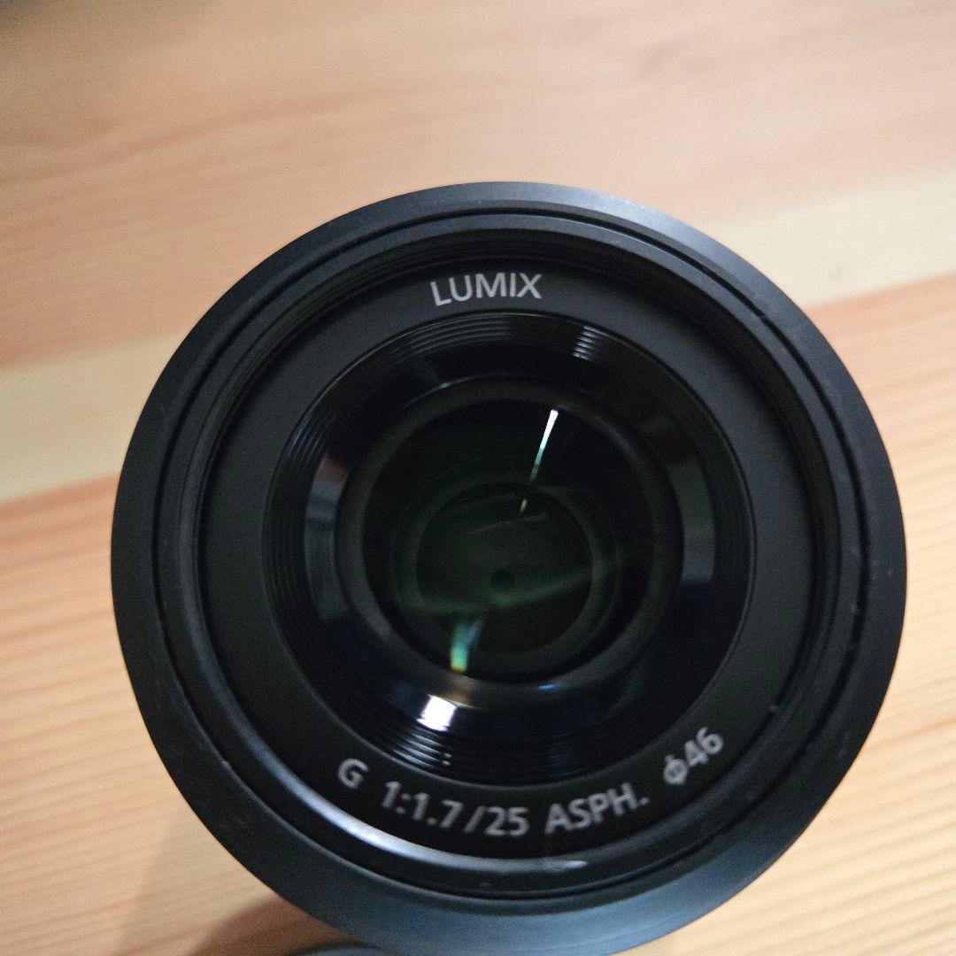 パナソニック ルミックス GF10 ダブルレンズキットDC-GF10W-K