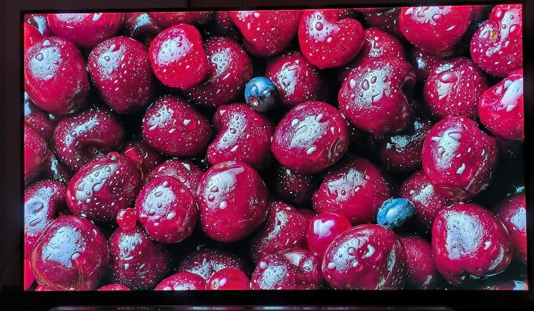 すし　4K有機EL55型テレビ　LG製OLED55B6P