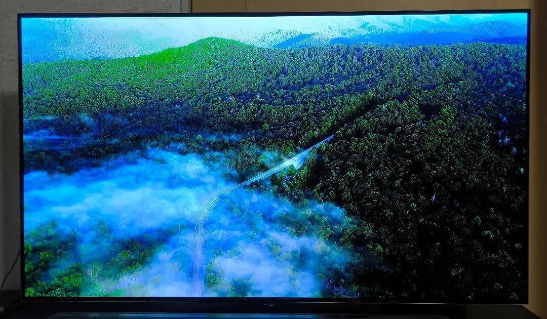 すし　4K有機EL55型テレビ　LG製OLED55B6P