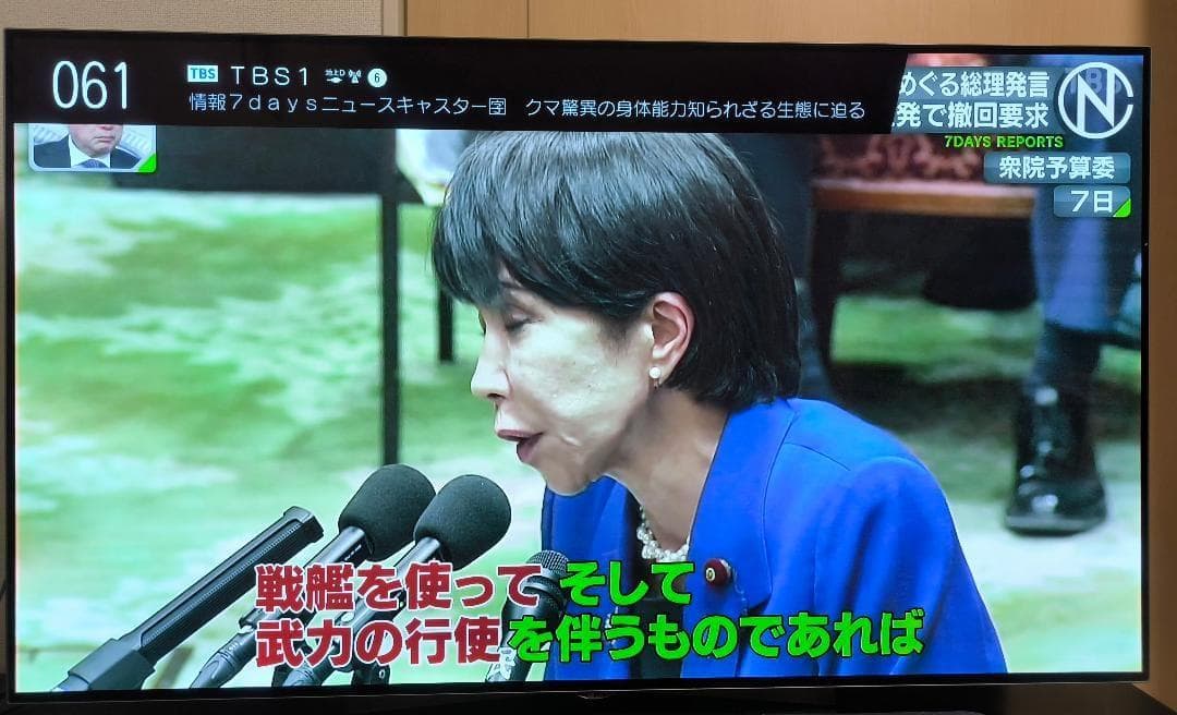 すし　4K有機EL55型テレビ　LG製OLED55B6P