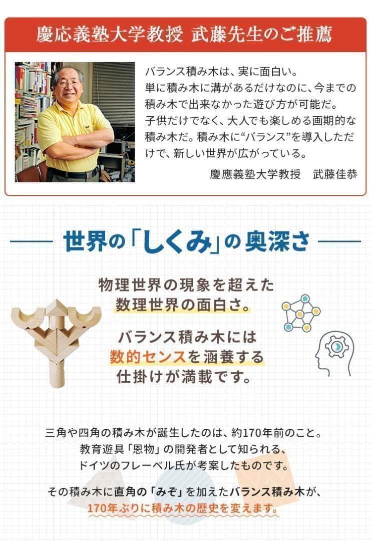 【匿名配送】高級 積み木 ぷい 天然ブナの木 無着色