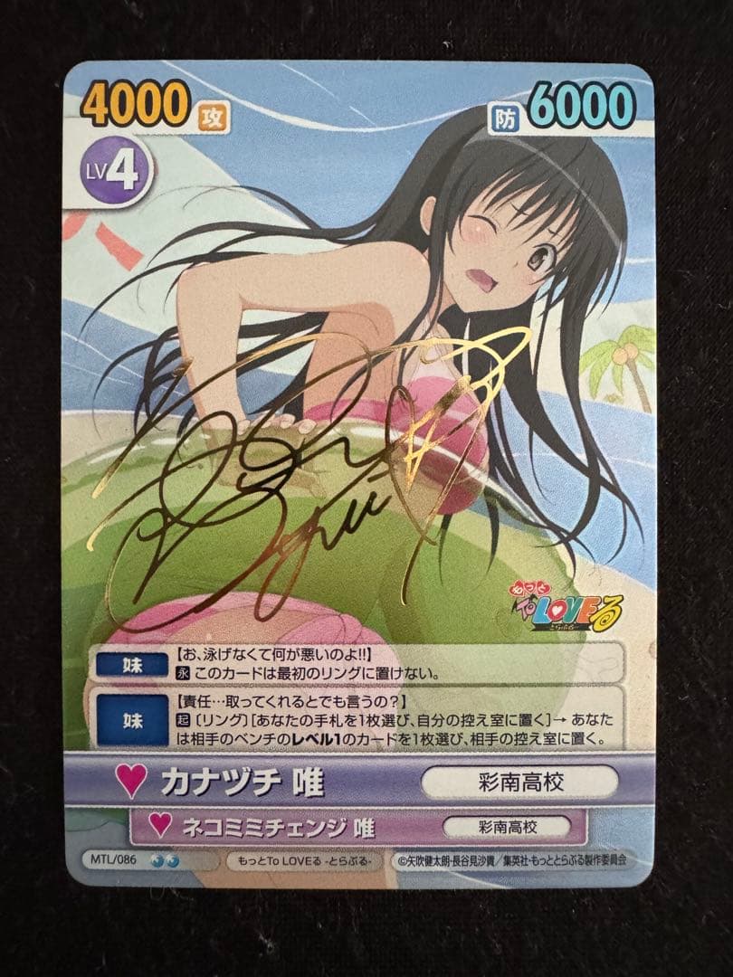 ヴィクトリースパーク　カナヅチ　唯　サイン