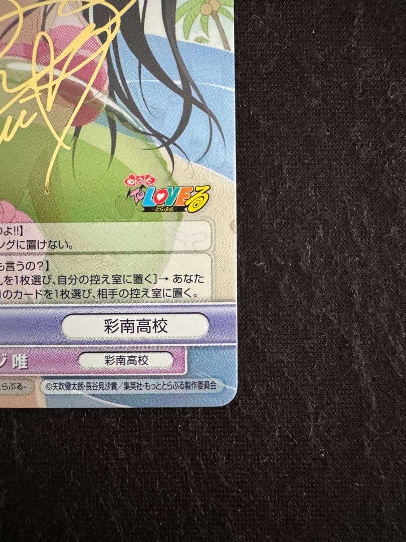 ヴィクトリースパーク　カナヅチ　唯　サイン