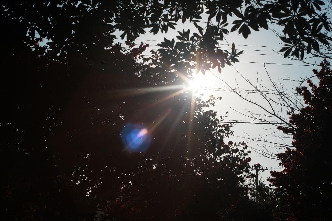 【この値段でライカ級】富岡光学製 XR RIKENON 50mm F2 835