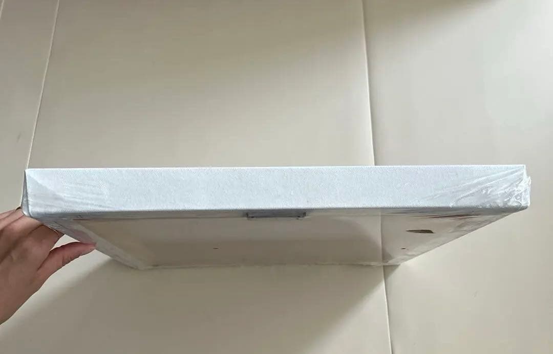 廃盤❗️ハワイ限定　日焼けスヌーピー　キャンバスアート　海　車　サーフボード