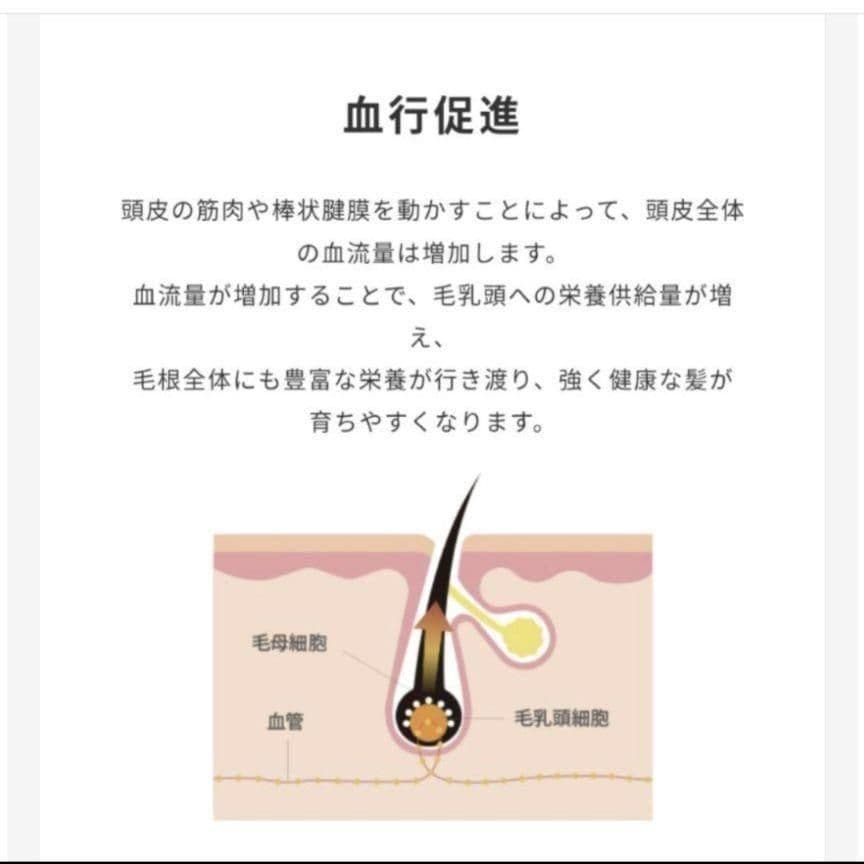 ☆限定品 ルクセア シェモーク ヘッドマッサージ リフトアップ ヘッドスパ