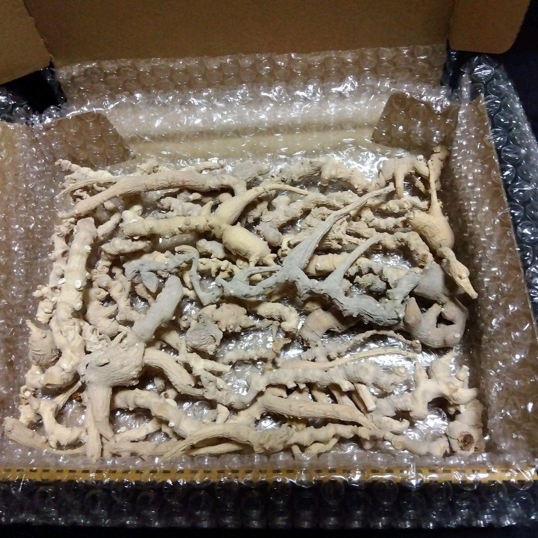 天然トチバニンジン乾燥品チクセツニンジン３００グラム