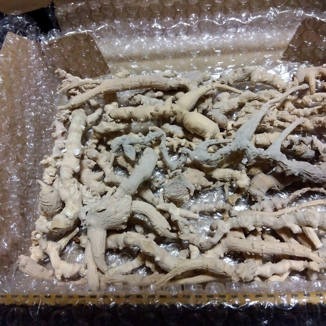 天然トチバニンジン乾燥品チクセツニンジン３００グラム