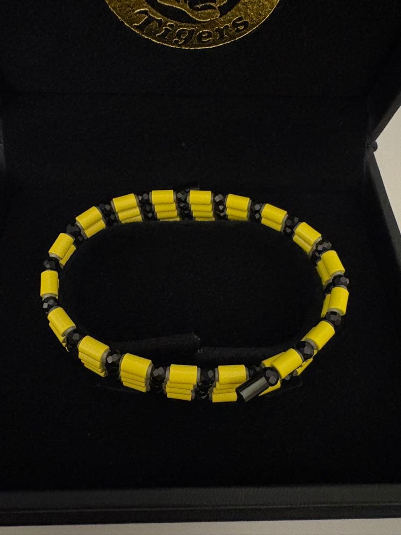 コアフォースループ タイガースモデル 70センチ