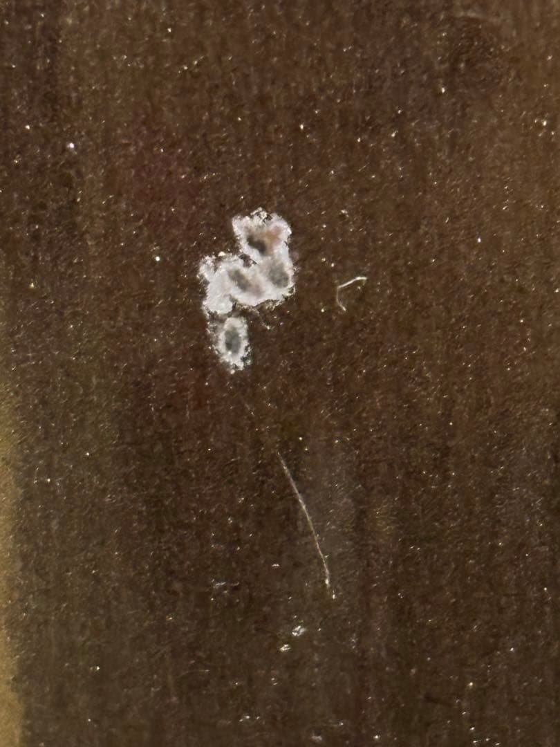 象印 NW-VC10 IH炊飯ジャー 21年製