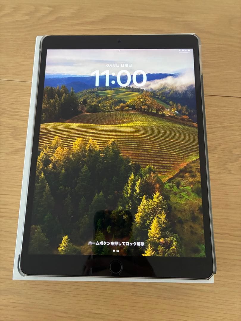 Apple iPad (Pro 10.5インチ) 512GB Wi-Fiモデル