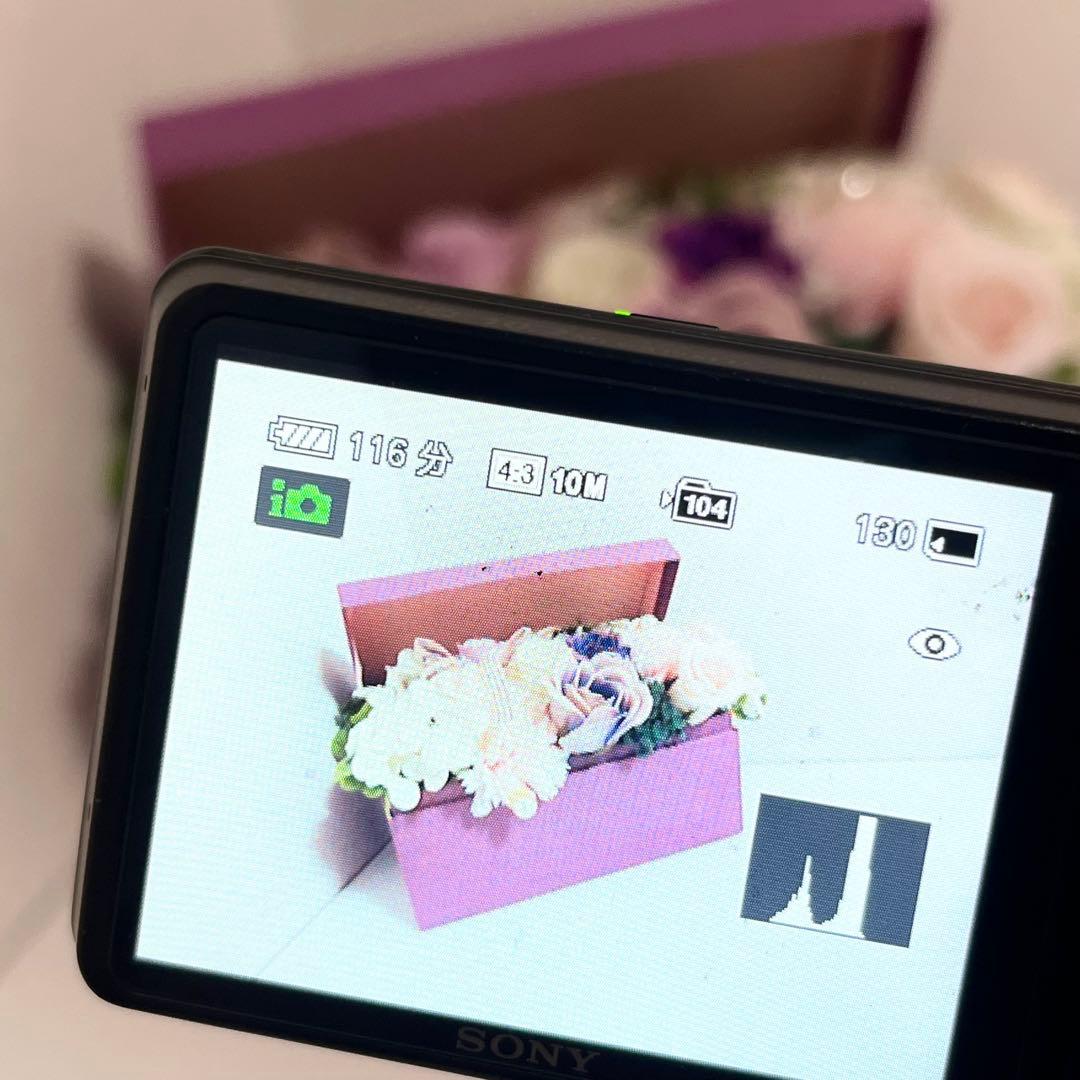 デジタルカメラ SONY cyber-shot DSC-WX1