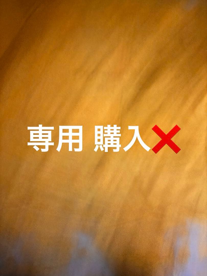 vintage carharttアクティブジャケットベージュ ペイント雰囲気