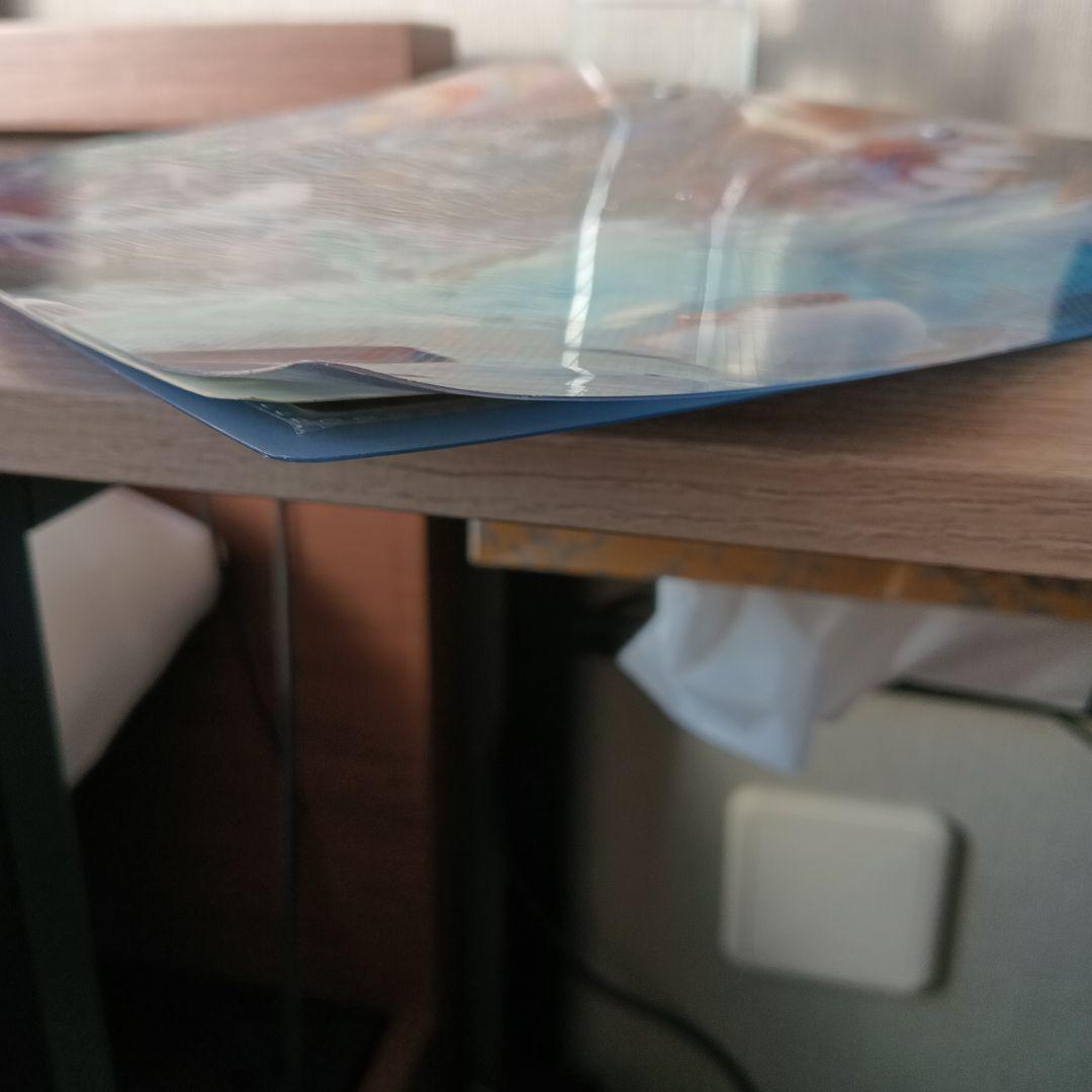 【おまけつき！】ポケモンカードゲーム 2005 ブルーシート　ポケパーク