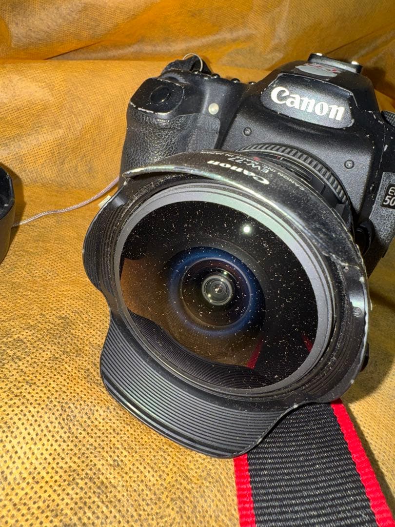 Rinさま専用　Canon EOS 50D