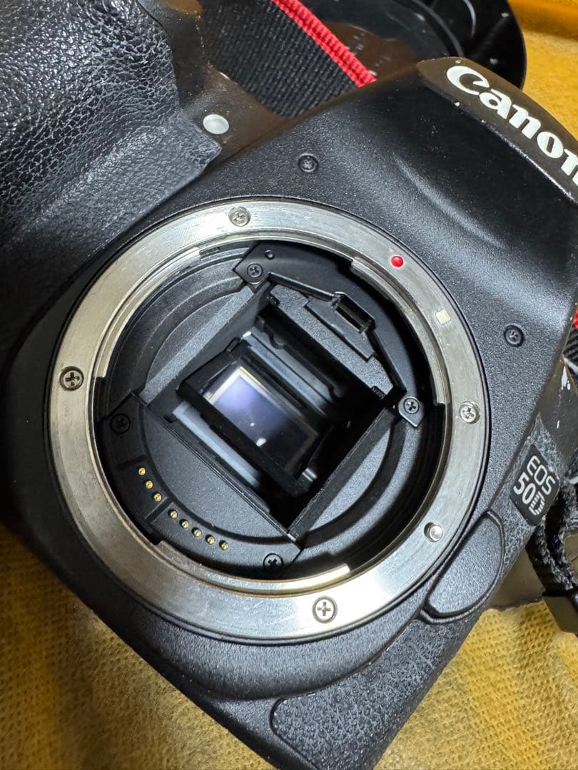 Rinさま専用　Canon EOS 50D