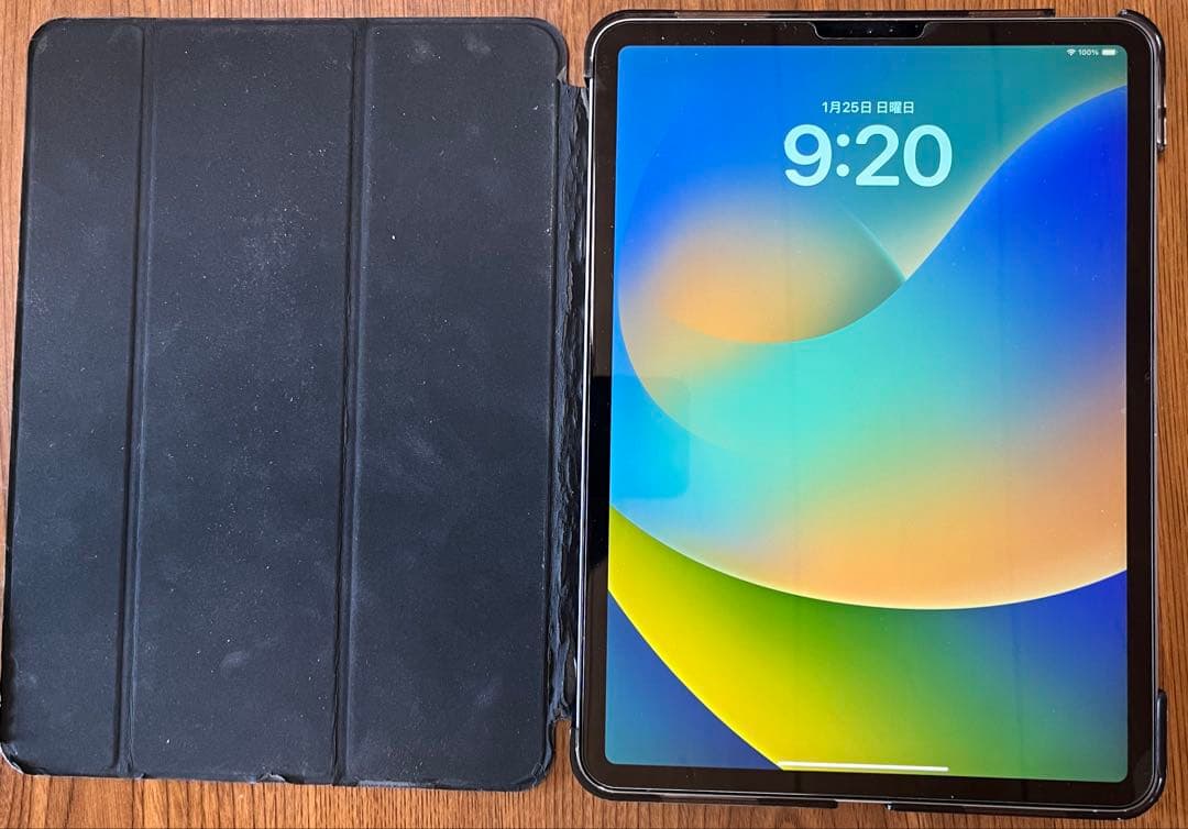 Apple iPad Pro11インチ 第1世代　512GB ジャンク