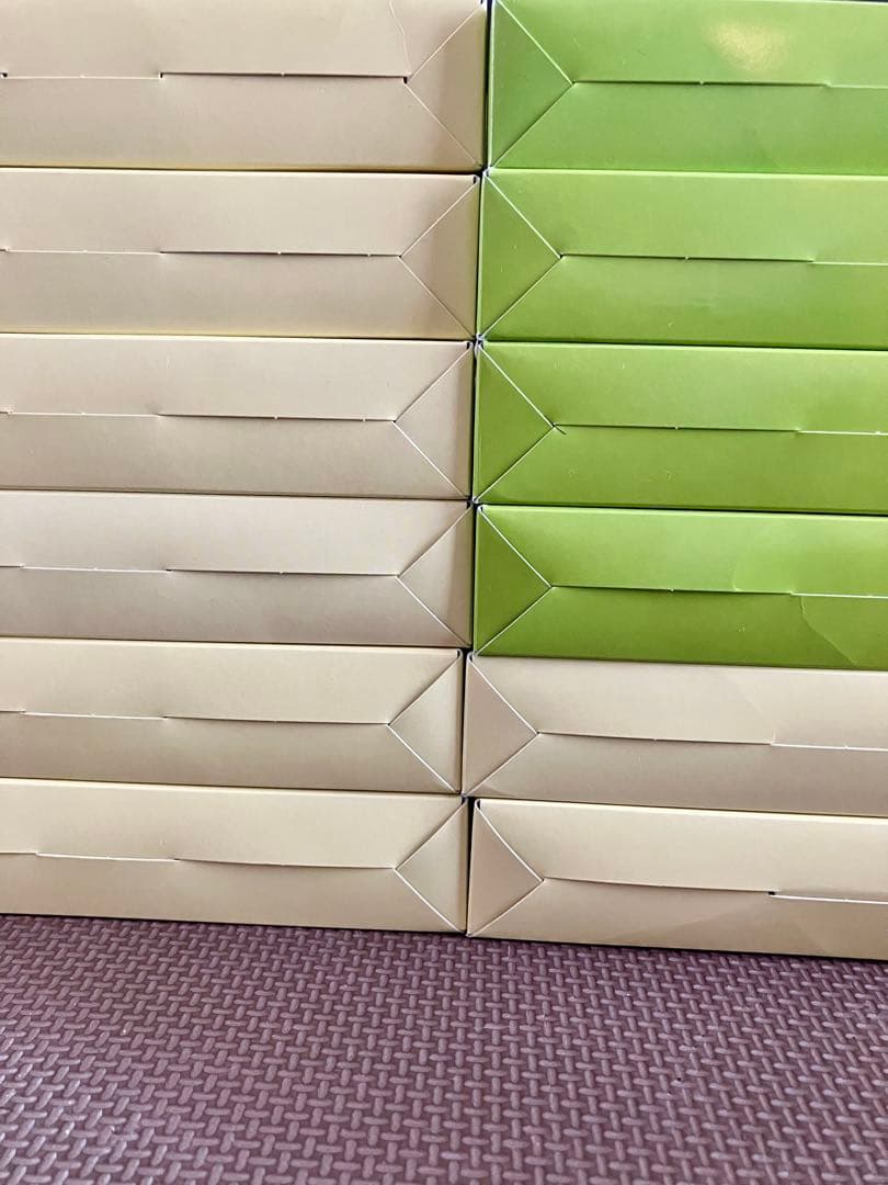 【パックあり】バトルパートナーズコレクションファイルセットリーリエN -エヌ-