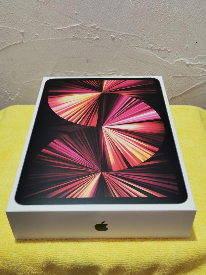 第三世代 iPad Pro 11インチ(WiFi 256GB)+純正Pencil