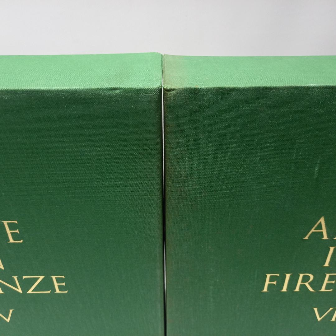 フィレンツェの美術 アルテ イン フィレンツェ V & VI 2冊セット