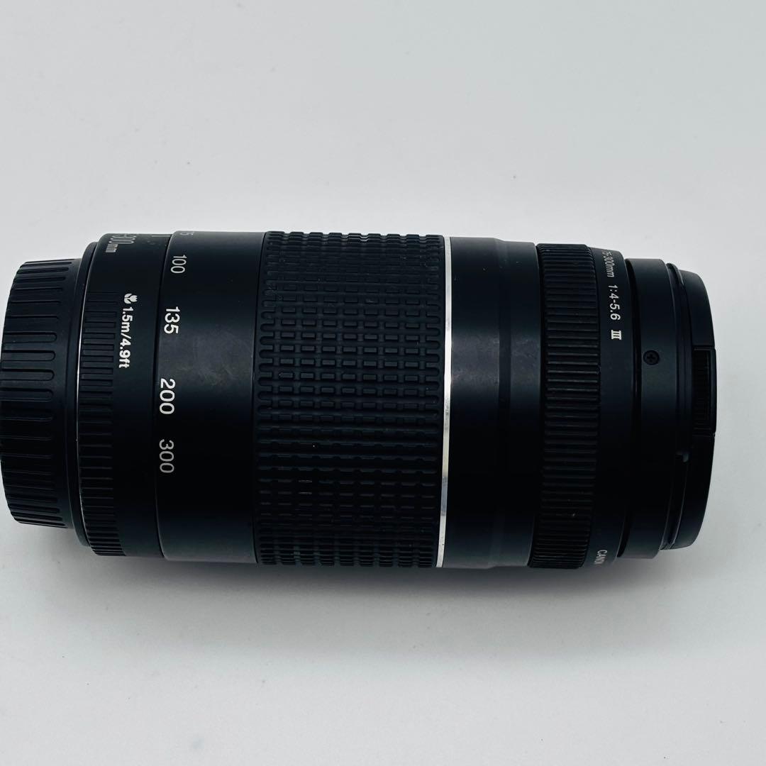 Canon EFマウント75-300mm F4-5.6 III